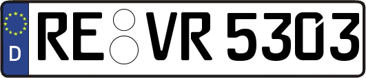 RE-VR5303