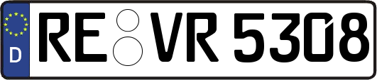 RE-VR5308