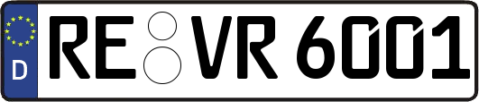 RE-VR6001