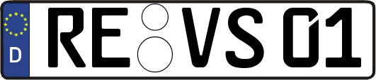 RE-VS01