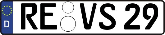 RE-VS29
