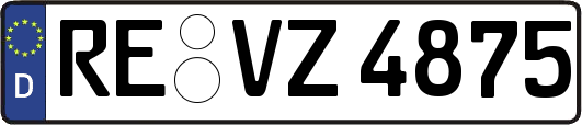 RE-VZ4875