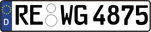 RE-WG4875