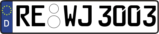 RE-WJ3003