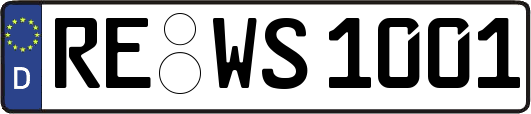 RE-WS1001