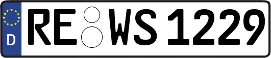 RE-WS1229
