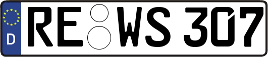 RE-WS307