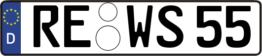 RE-WS55
