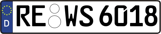 RE-WS6018
