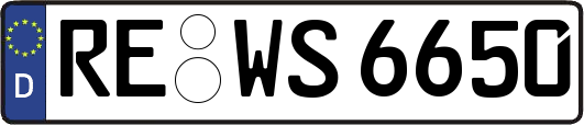 RE-WS6650