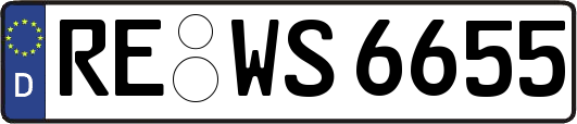RE-WS6655