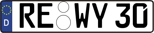 RE-WY30