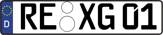 RE-XG01