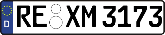 RE-XM3173