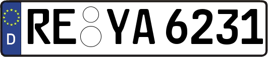 RE-YA6231
