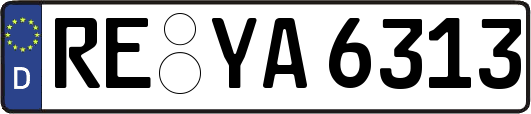 RE-YA6313