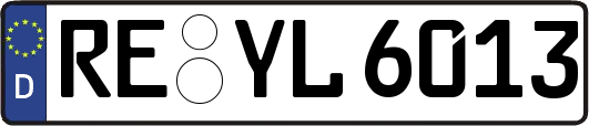 RE-YL6013