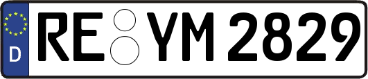 RE-YM2829