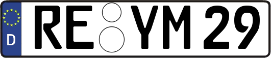 RE-YM29