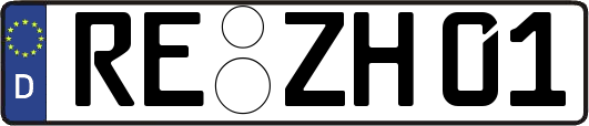RE-ZH01