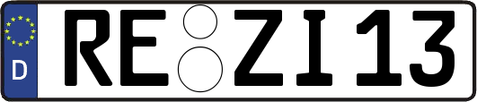 RE-ZI13
