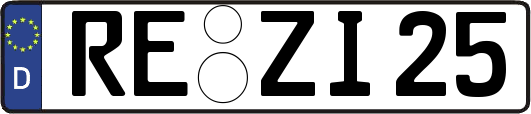 RE-ZI25