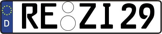 RE-ZI29