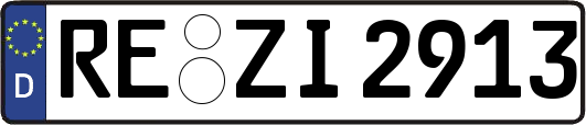 RE-ZI2913