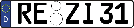 RE-ZI31