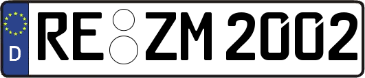 RE-ZM2002