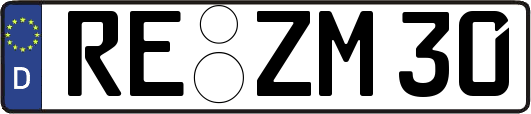 RE-ZM30
