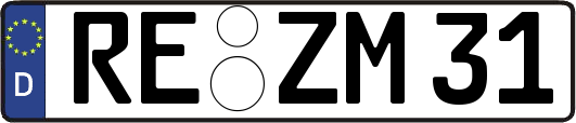 RE-ZM31