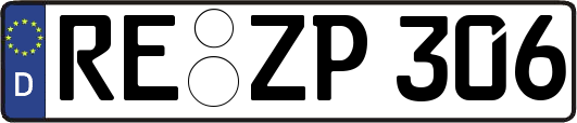 RE-ZP306