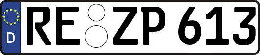 RE-ZP613