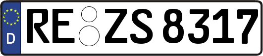 RE-ZS8317
