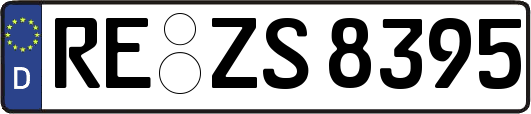 RE-ZS8395