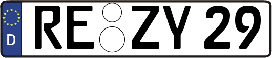 RE-ZY29