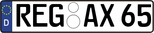 REG-AX65