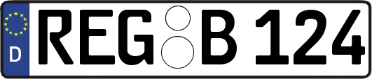 REG-B124