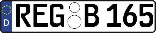 REG-B165