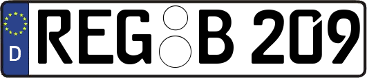 REG-B209