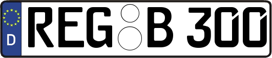 REG-B300