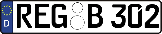 REG-B302