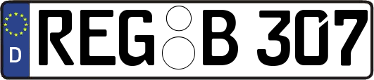 REG-B307