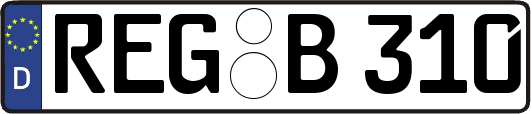 REG-B310