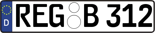 REG-B312