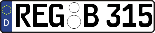 REG-B315