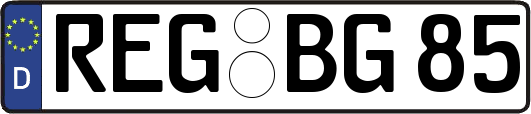 REG-BG85