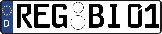 REG-BI01