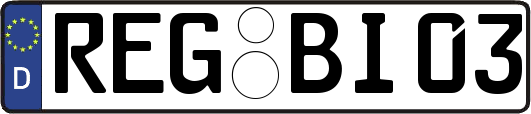 REG-BI03